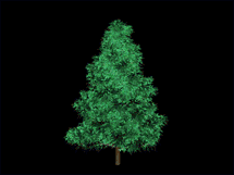 animatedchristmastreescreensaverani02215.gif